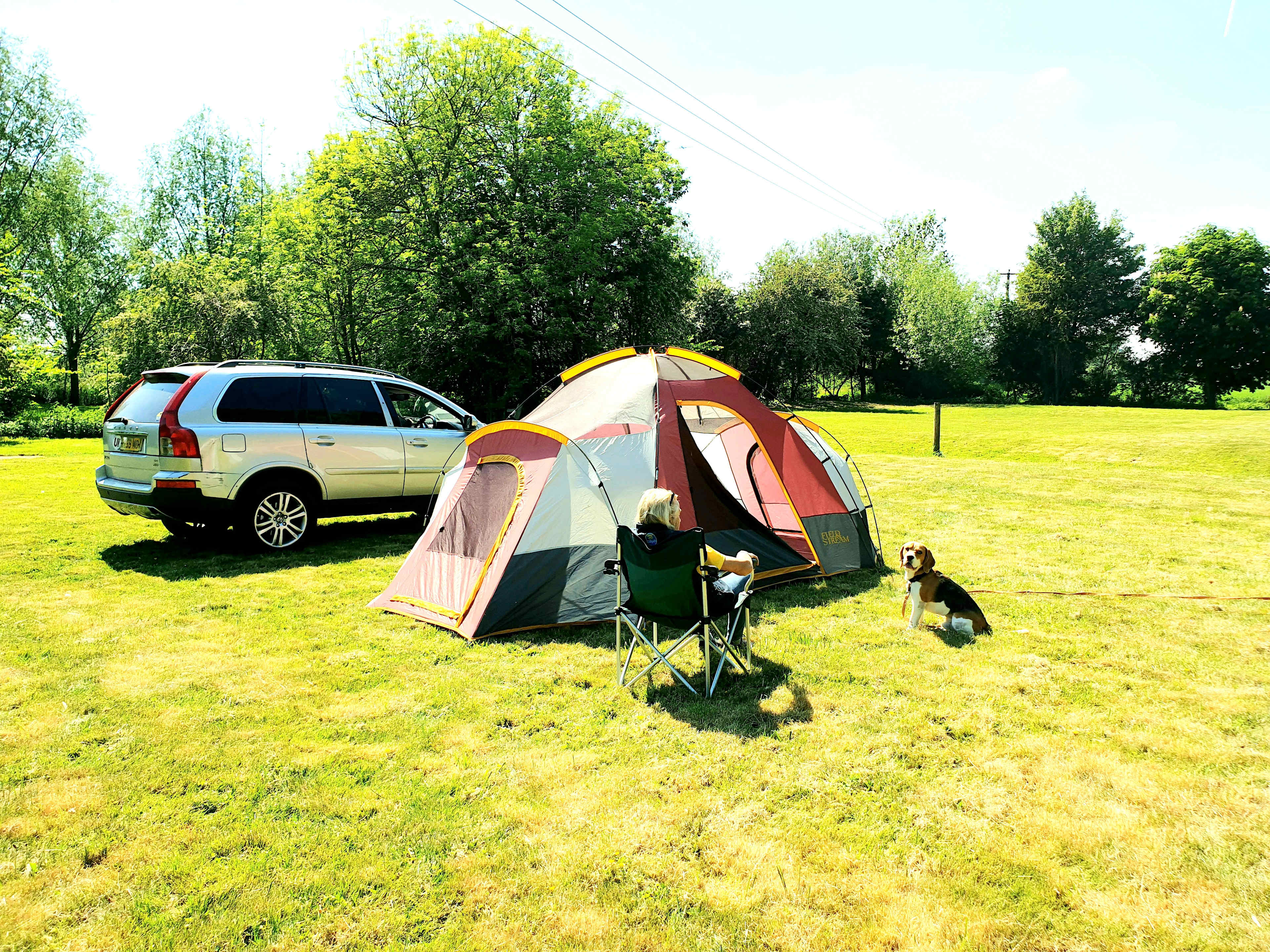 Willow Farm