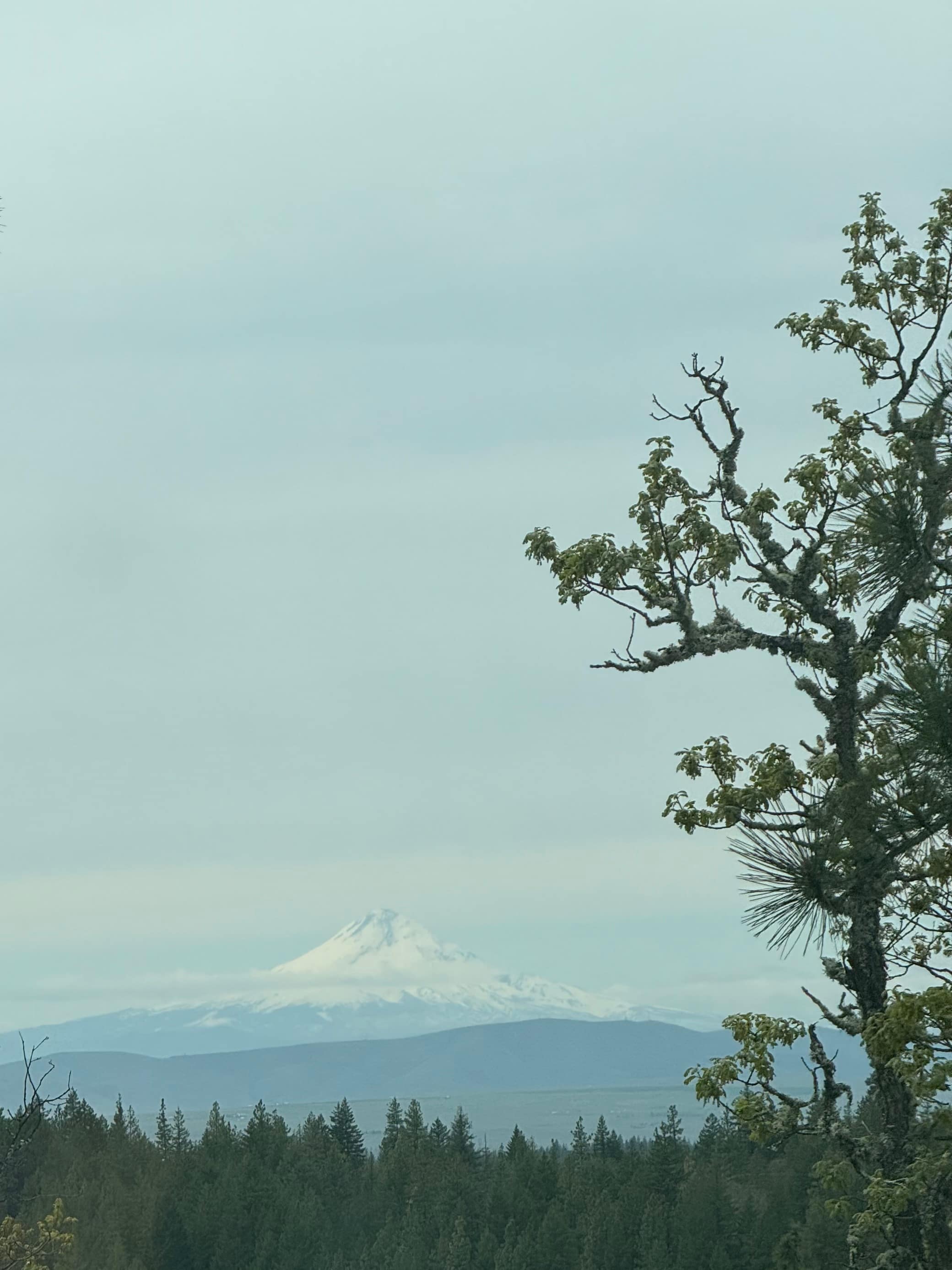 Great view. 