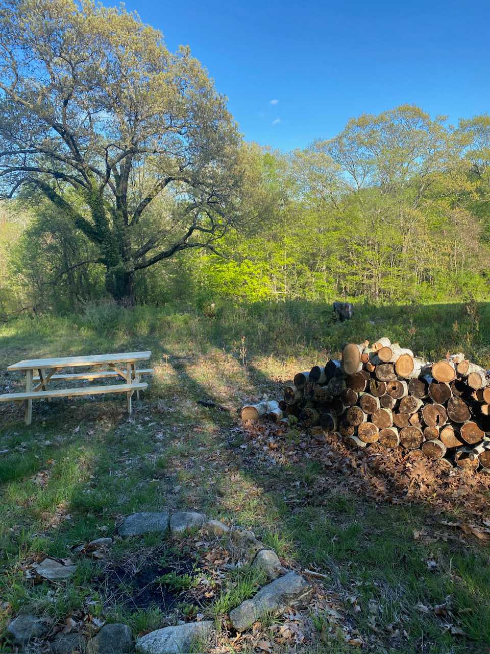 Goodfield Farm Rustic Camping