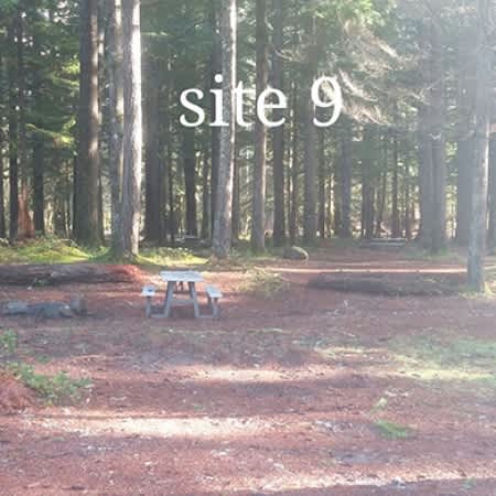 Eagle Cliff Store and Campground