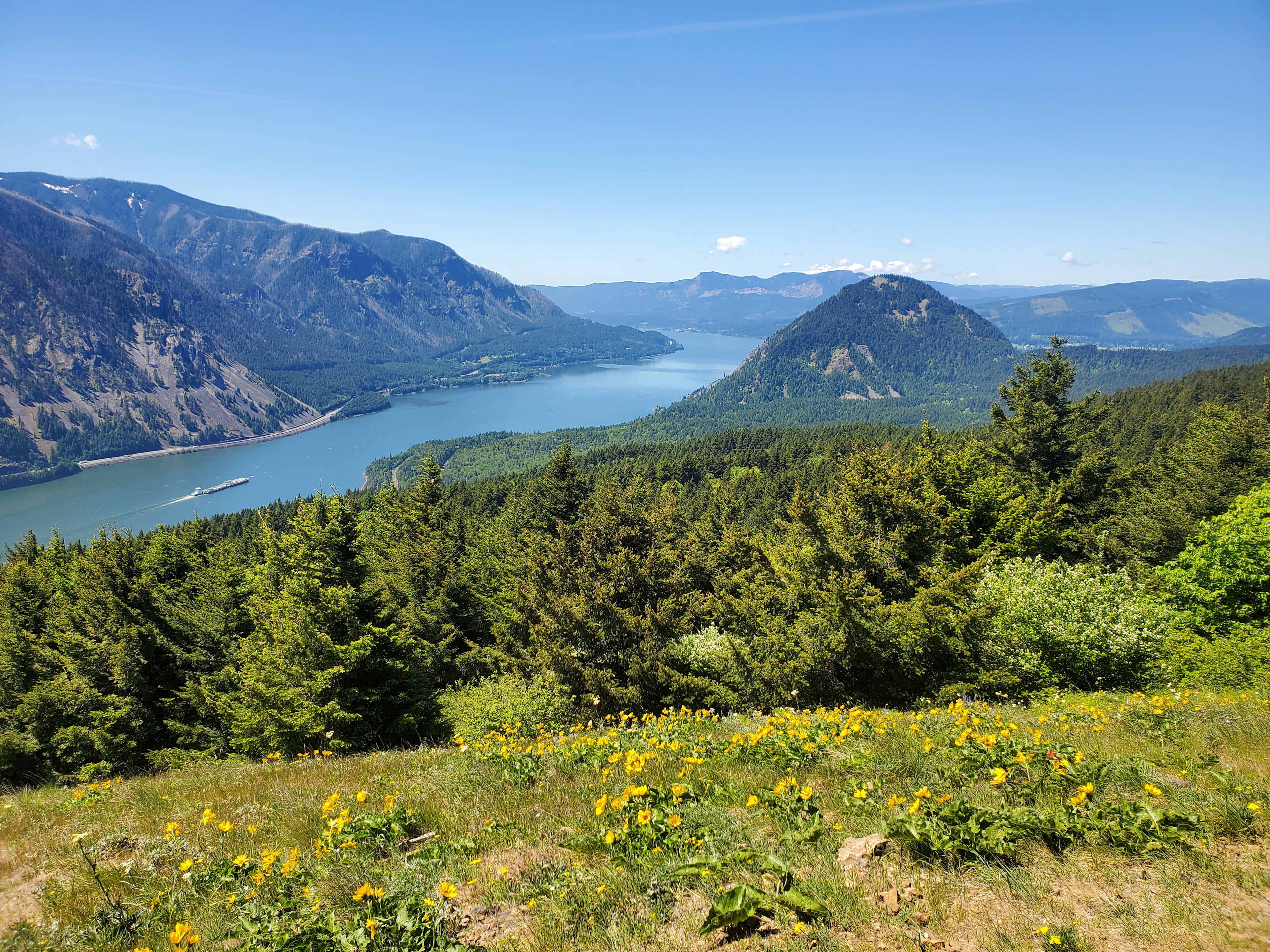 Dog Mountain RV Park & Lodge