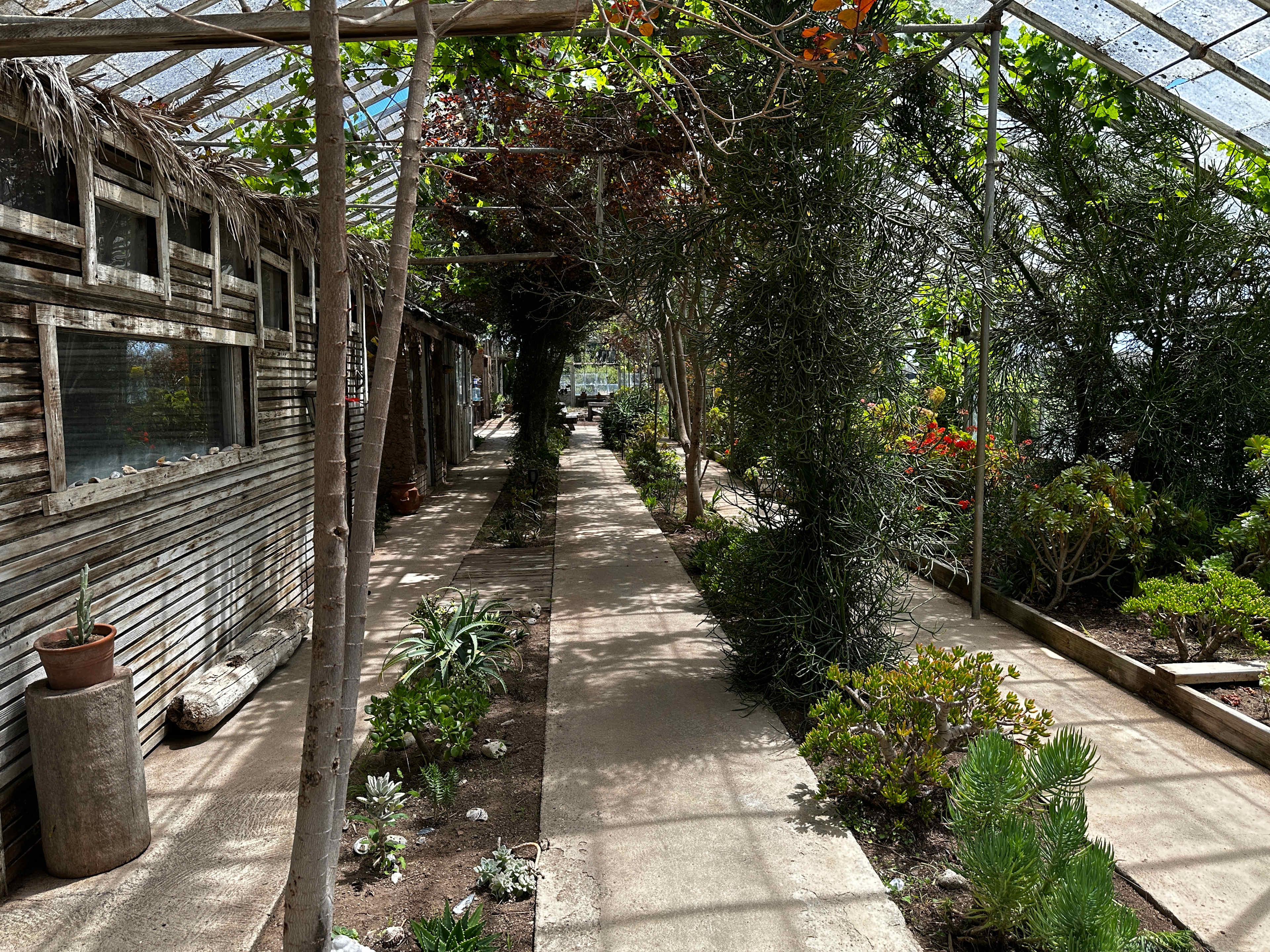 Private Beach Farm