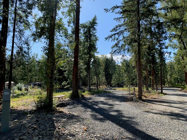 Picture of the site