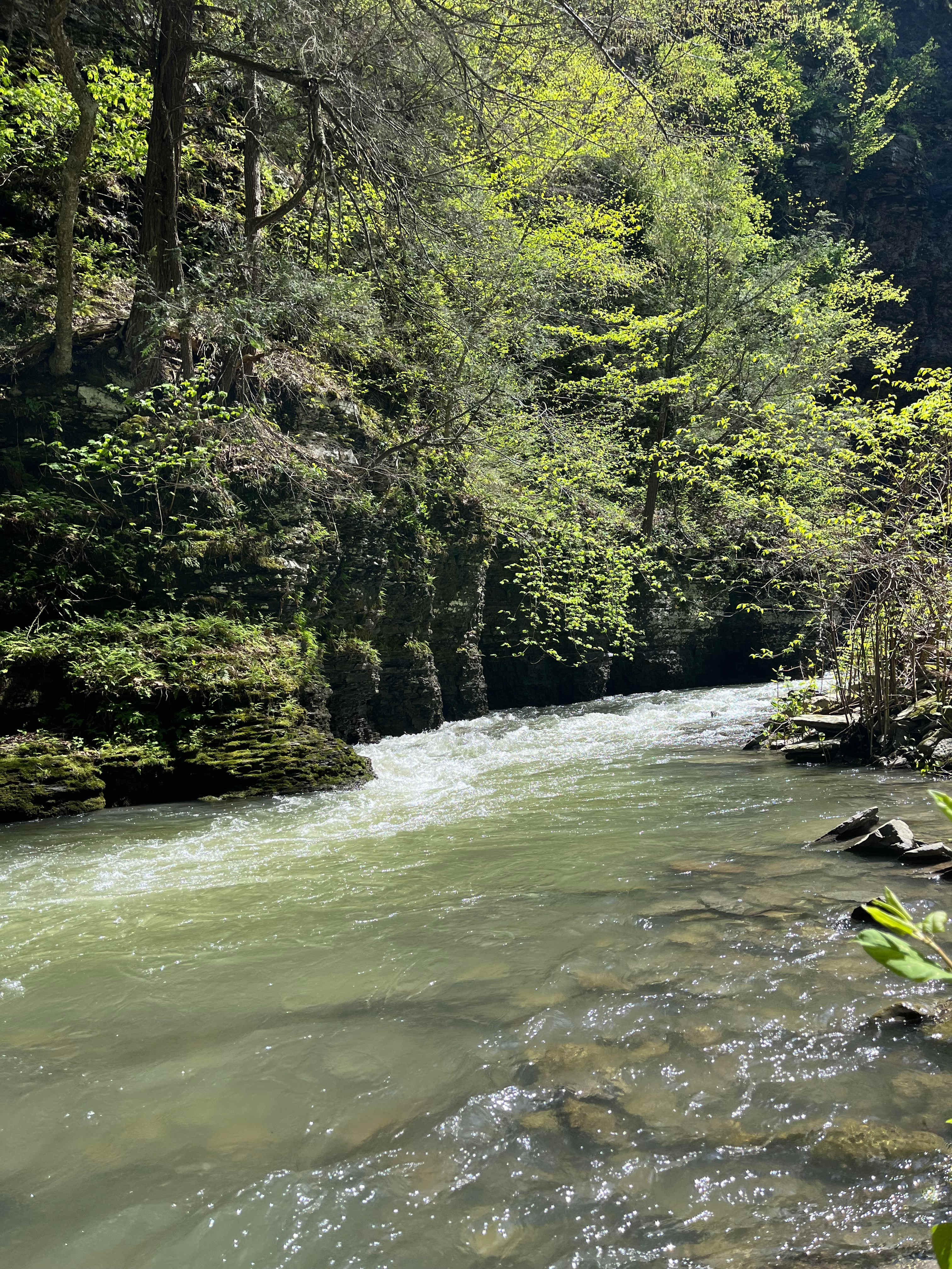 Sacred Waterfall & Quiet Retreat