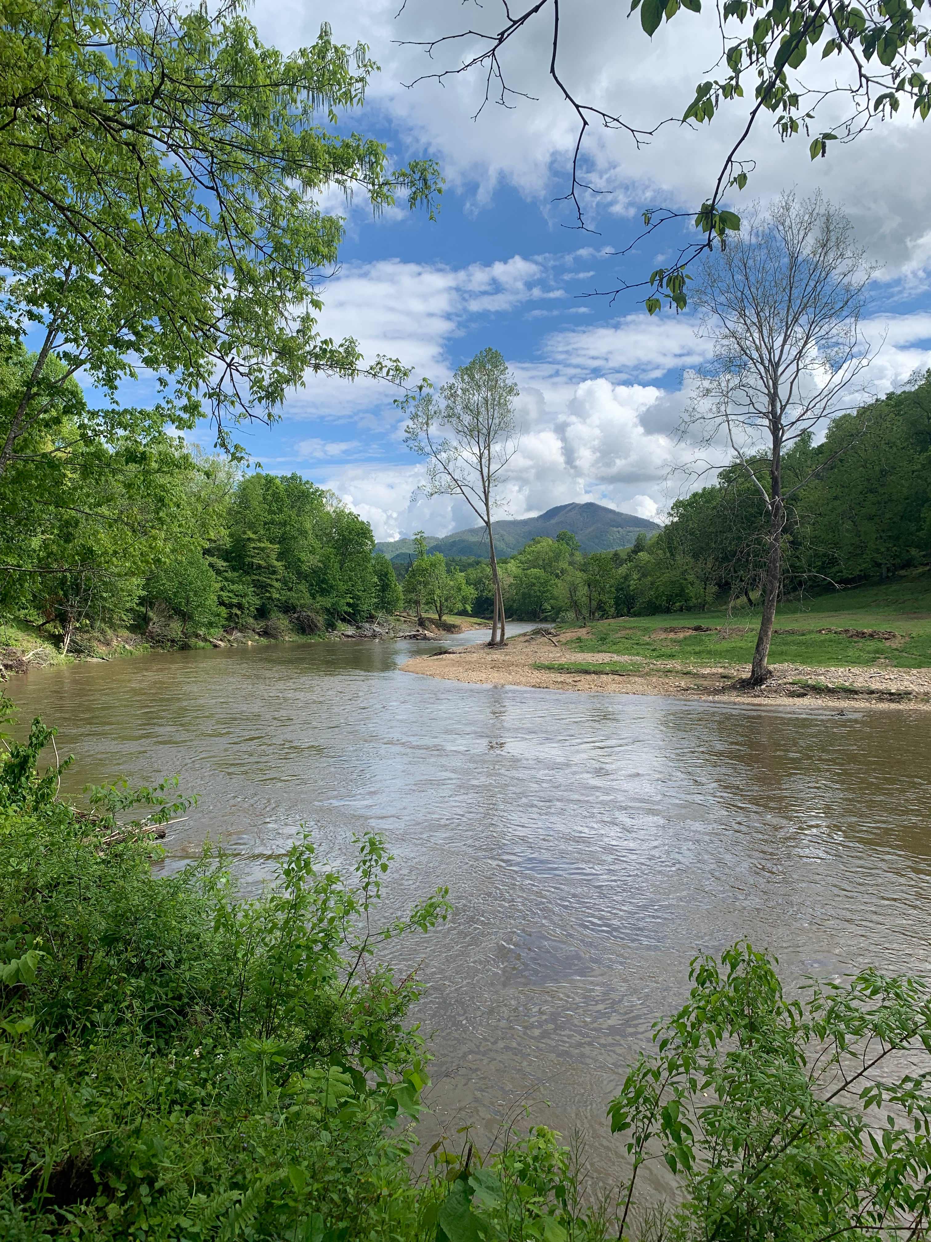 Smoky Mtn Mangalitsa River Ranch