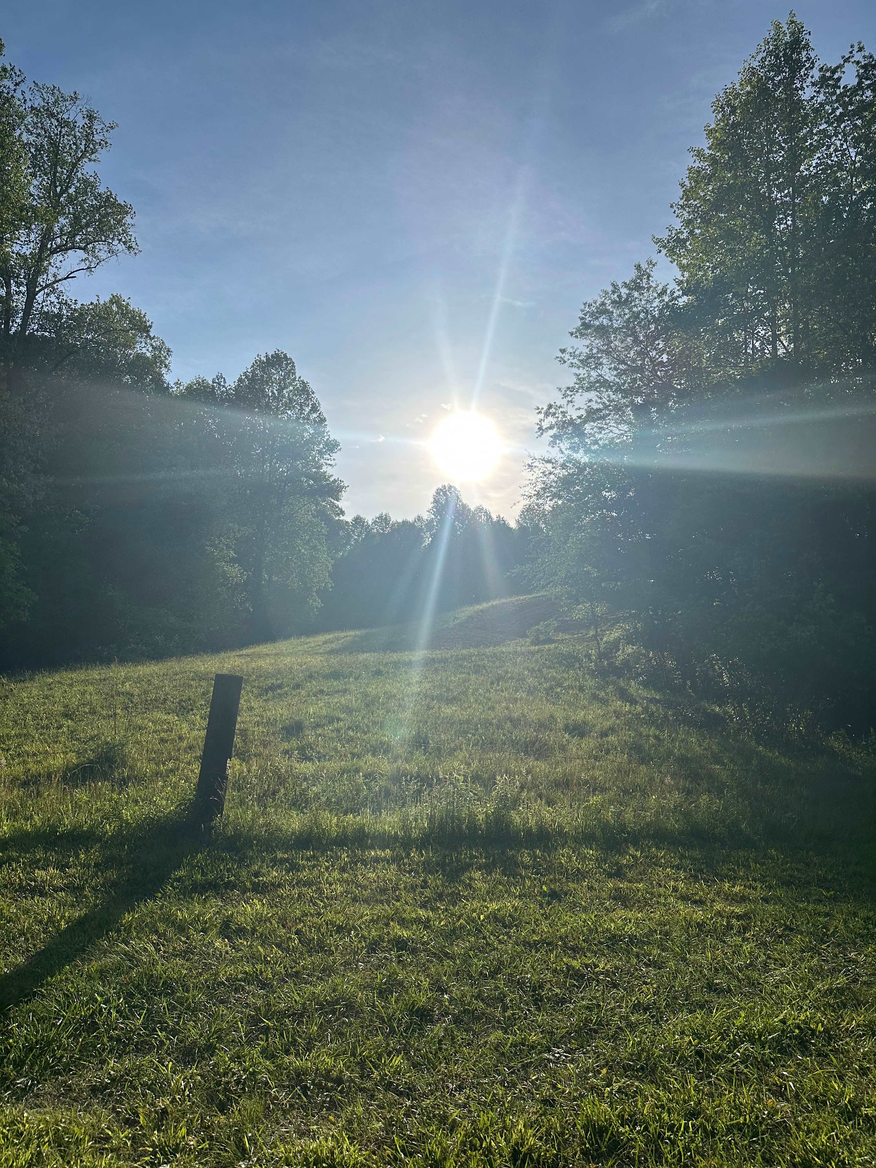 Tranquil Fisher River Cattle Farm