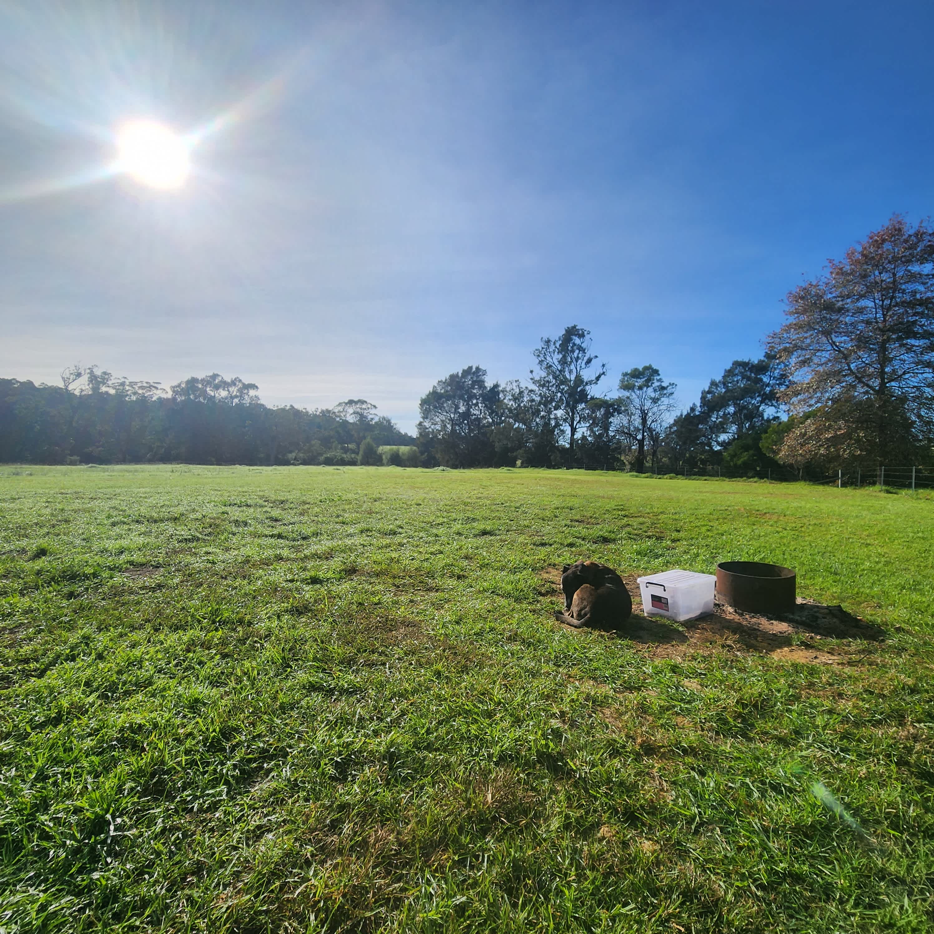 Riverview Farm, Bodalla
