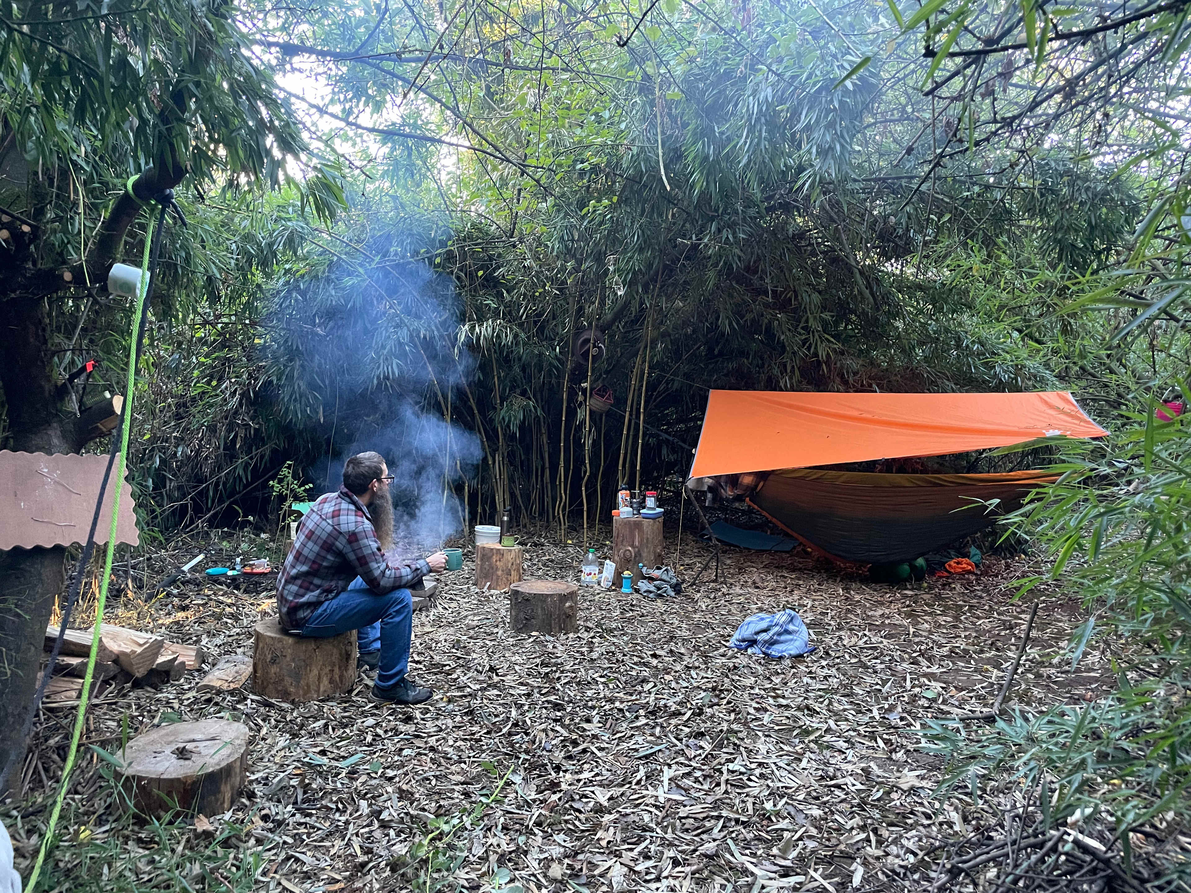 The Bamboo Forest Retreat