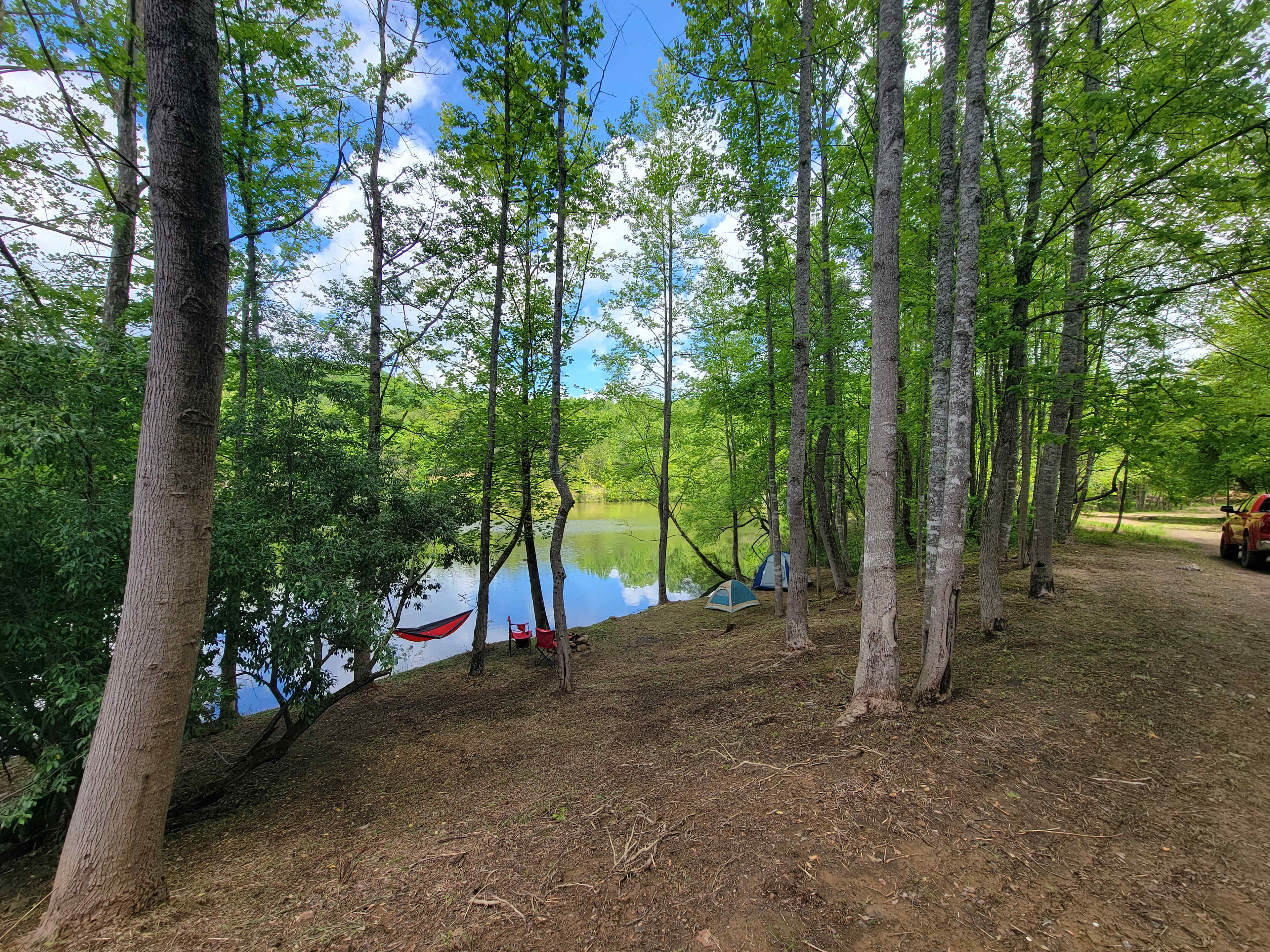 Picture of the site