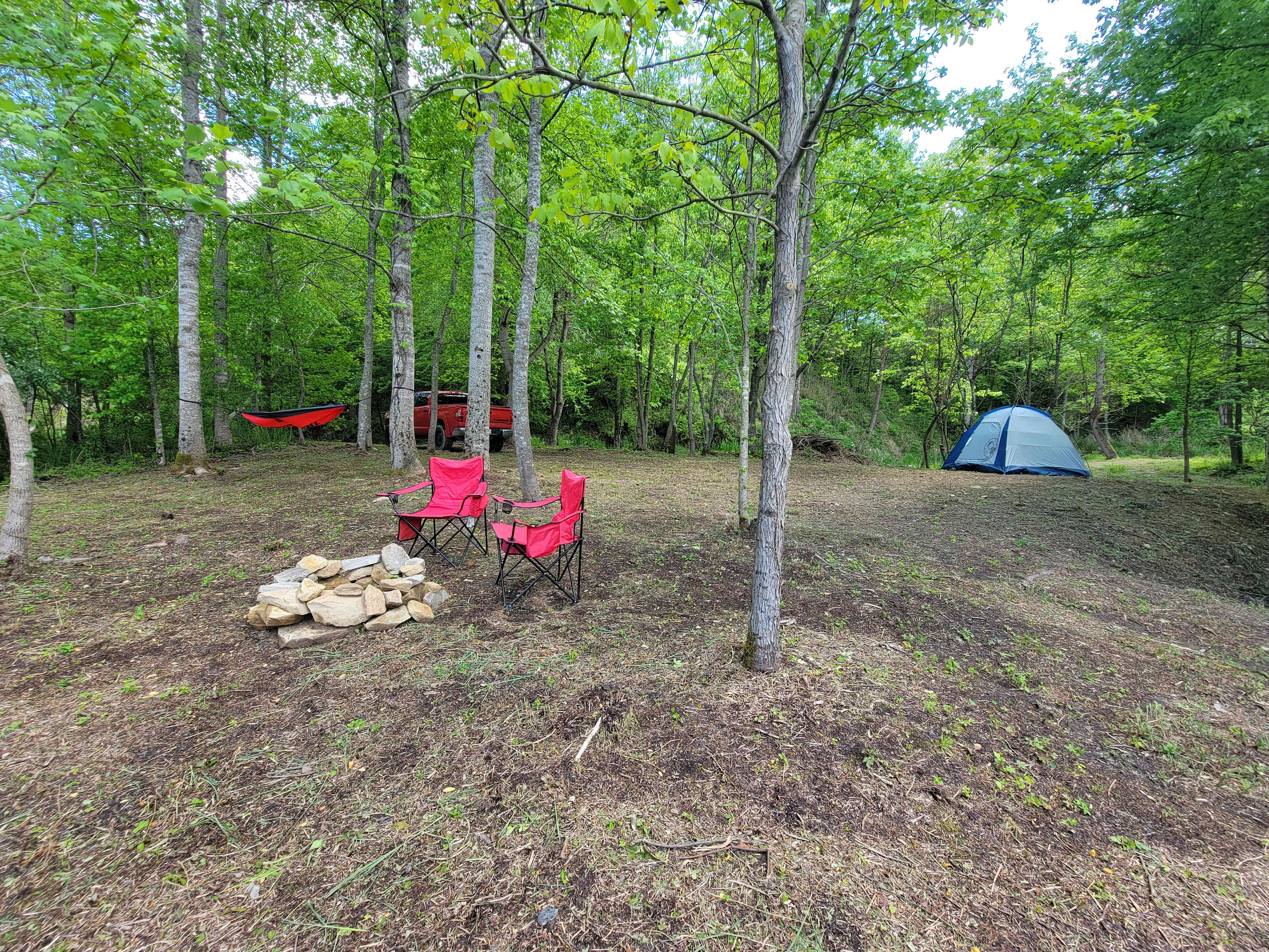 Picture of the site