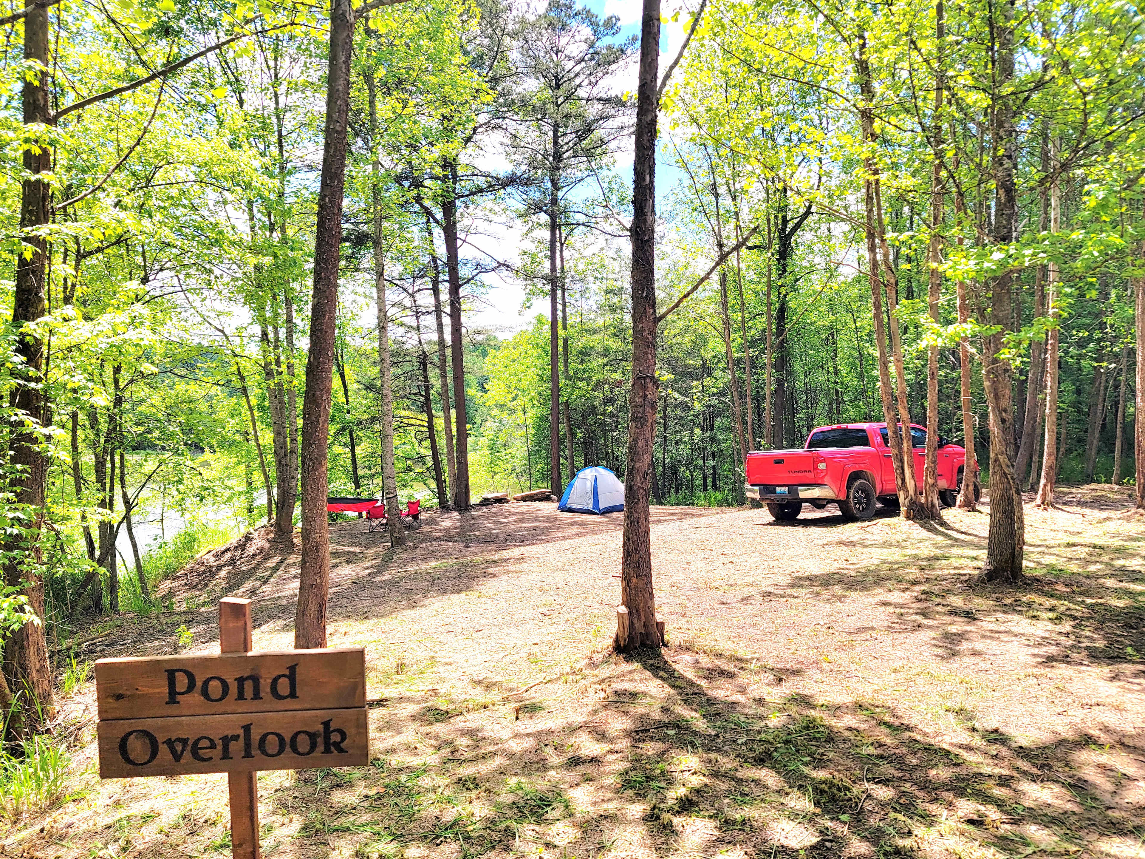 Picture of the site