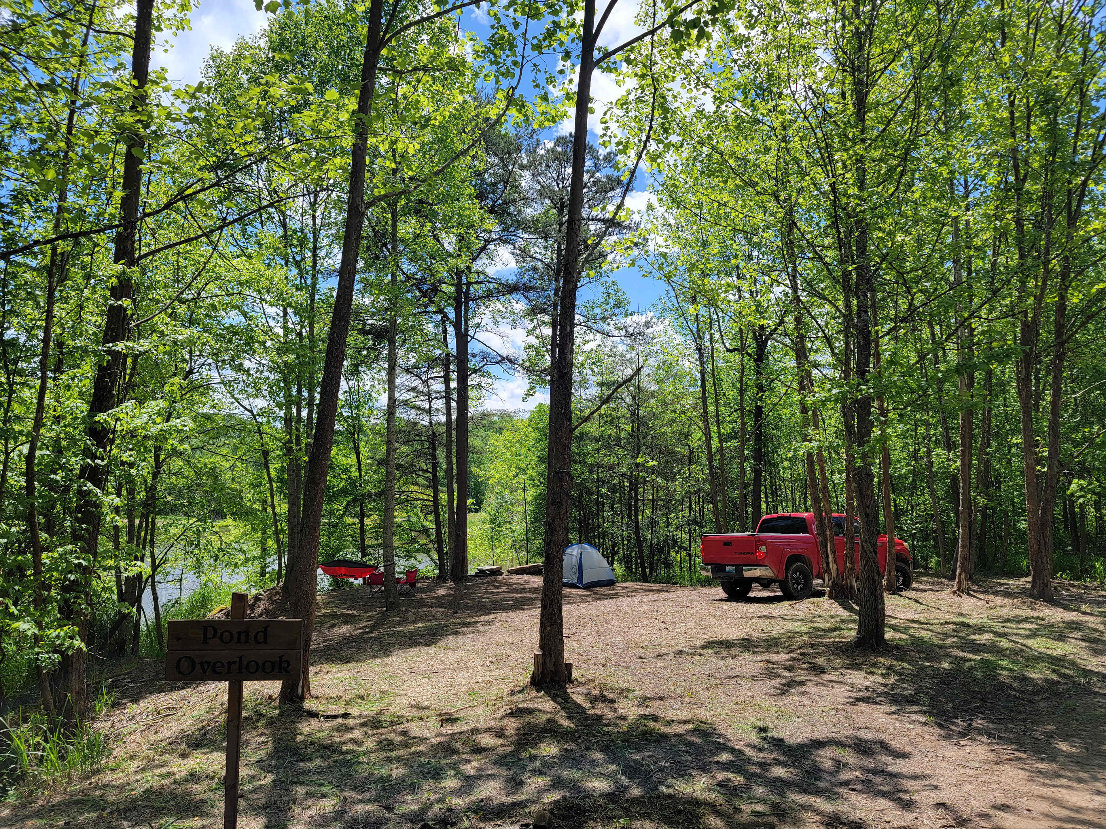 Picture of the site