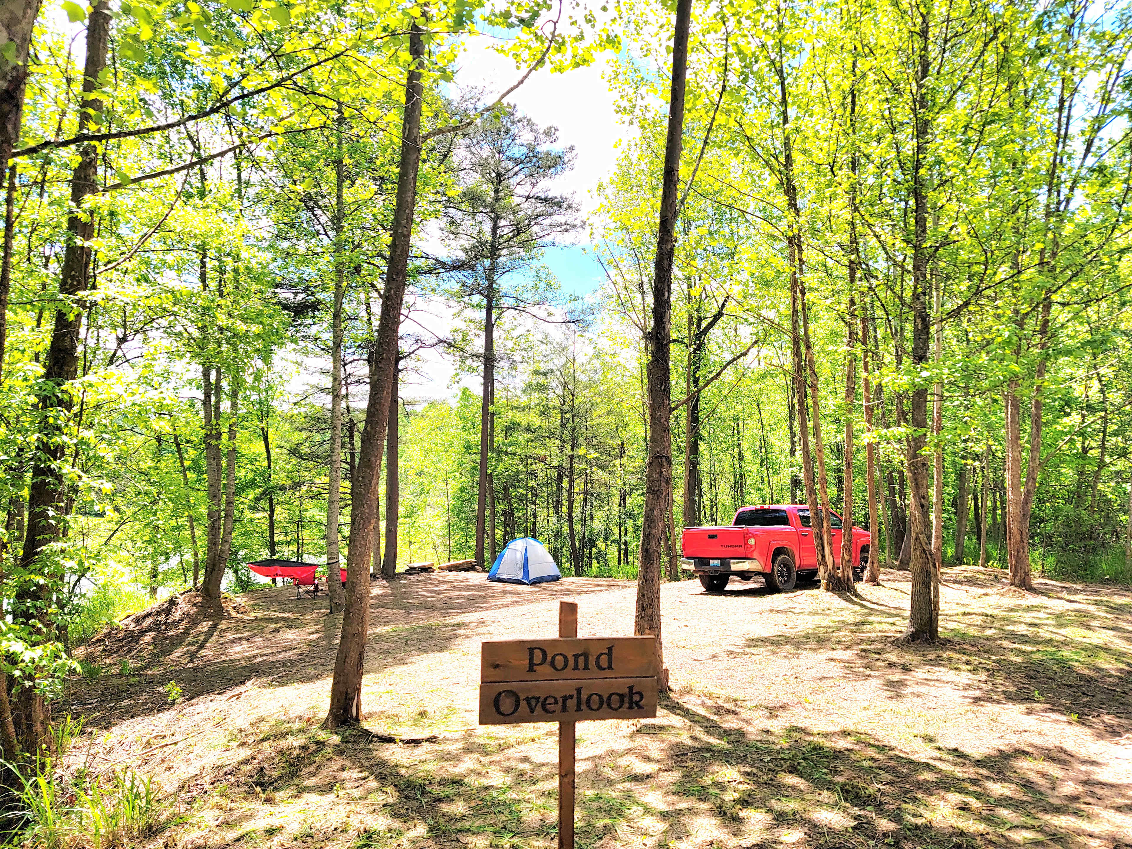 Picture of the site