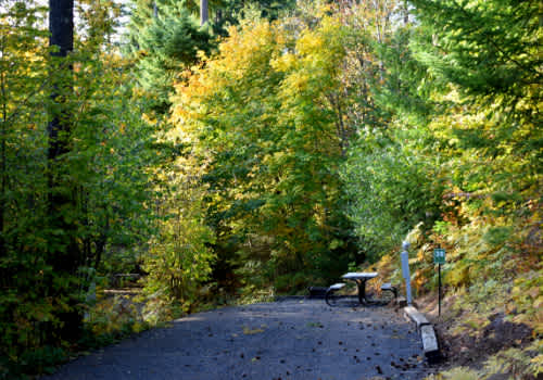 Picture of the site