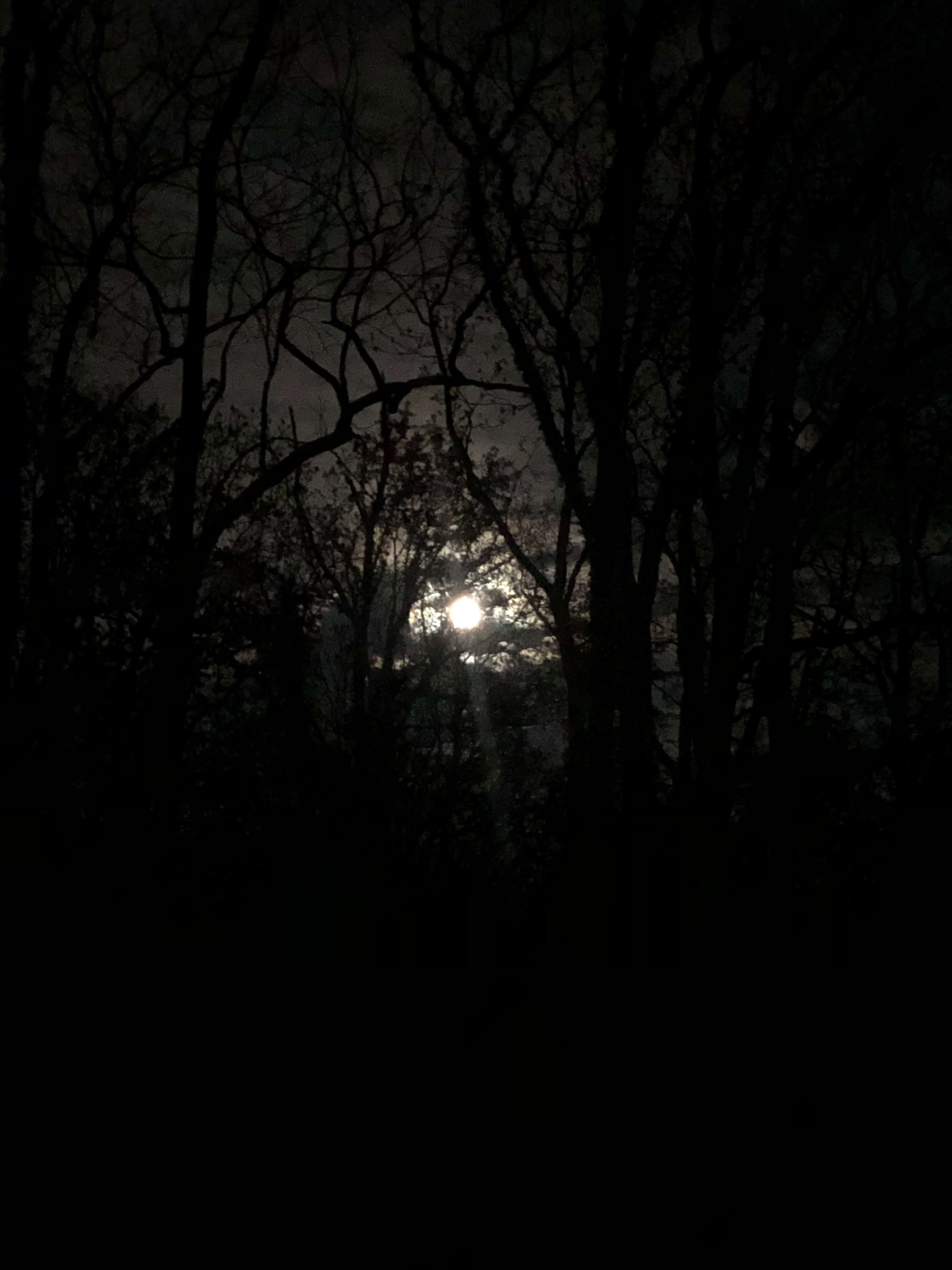 Walnut Valley Realm Campground