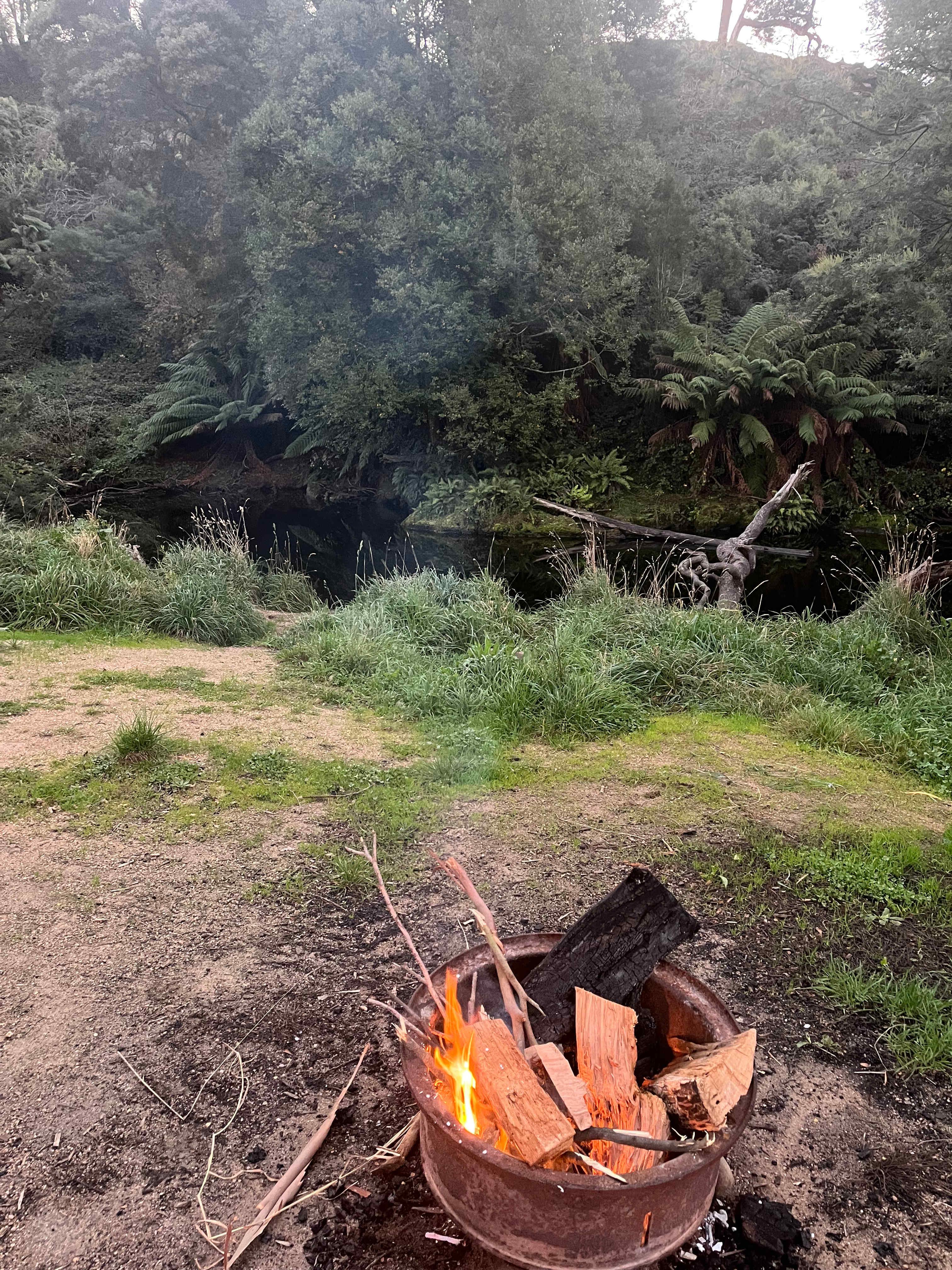 Fairview Farm Ringarooma Tasmania