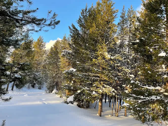 Willamette Pass Inn & Chalets