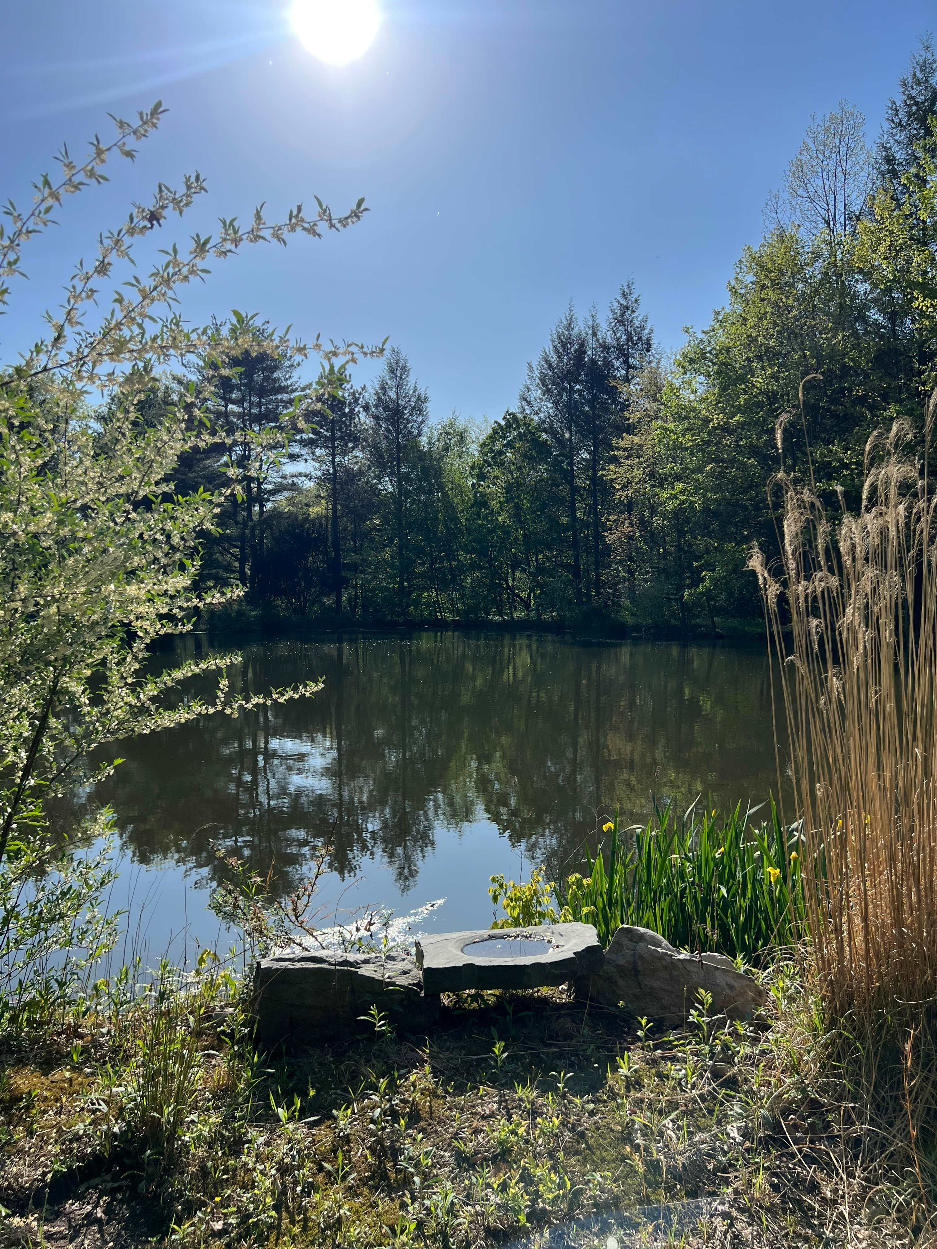 Stonehedge Gardens Holistic Retreat