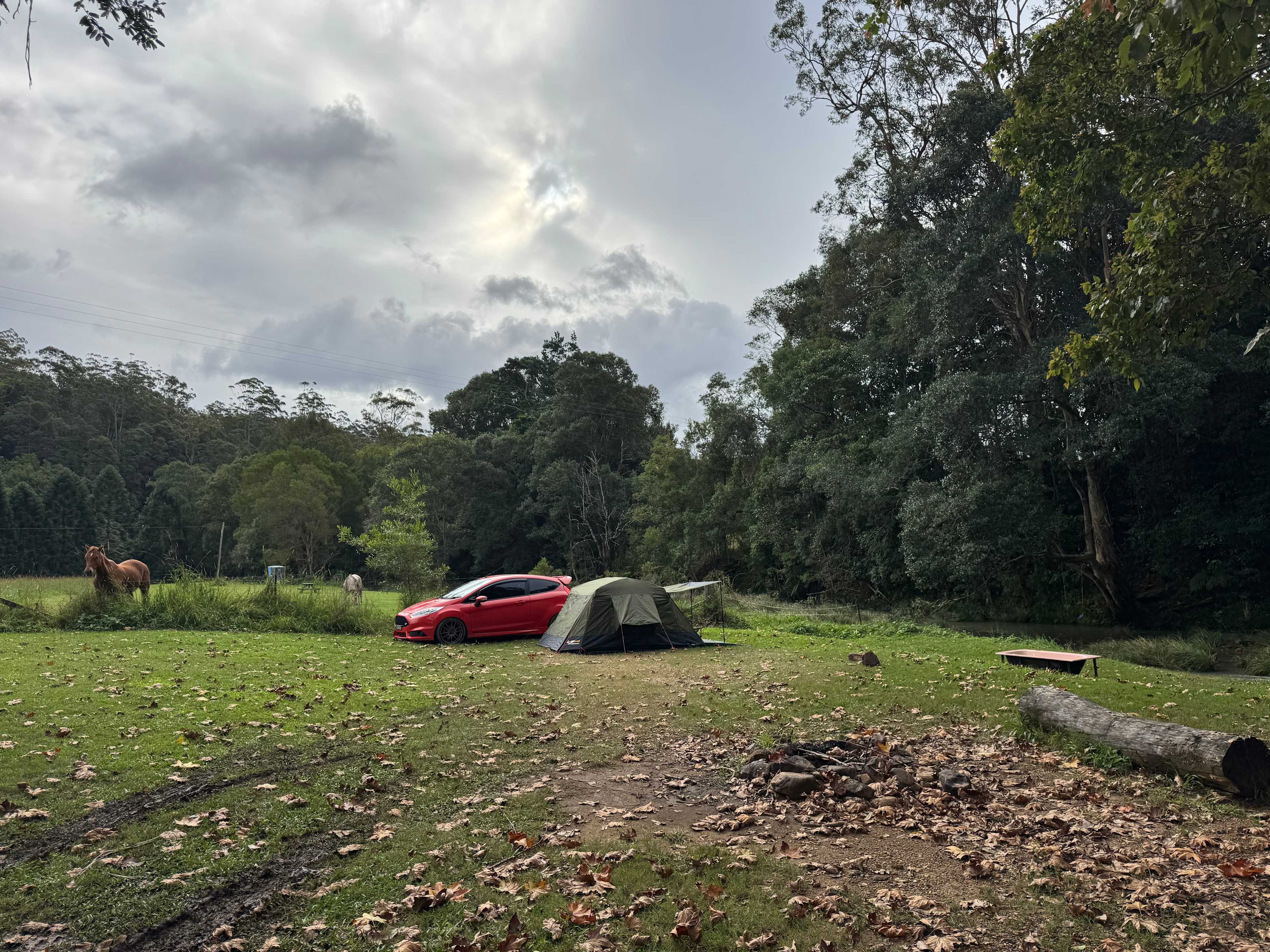 Rowlands Creek Camp Area