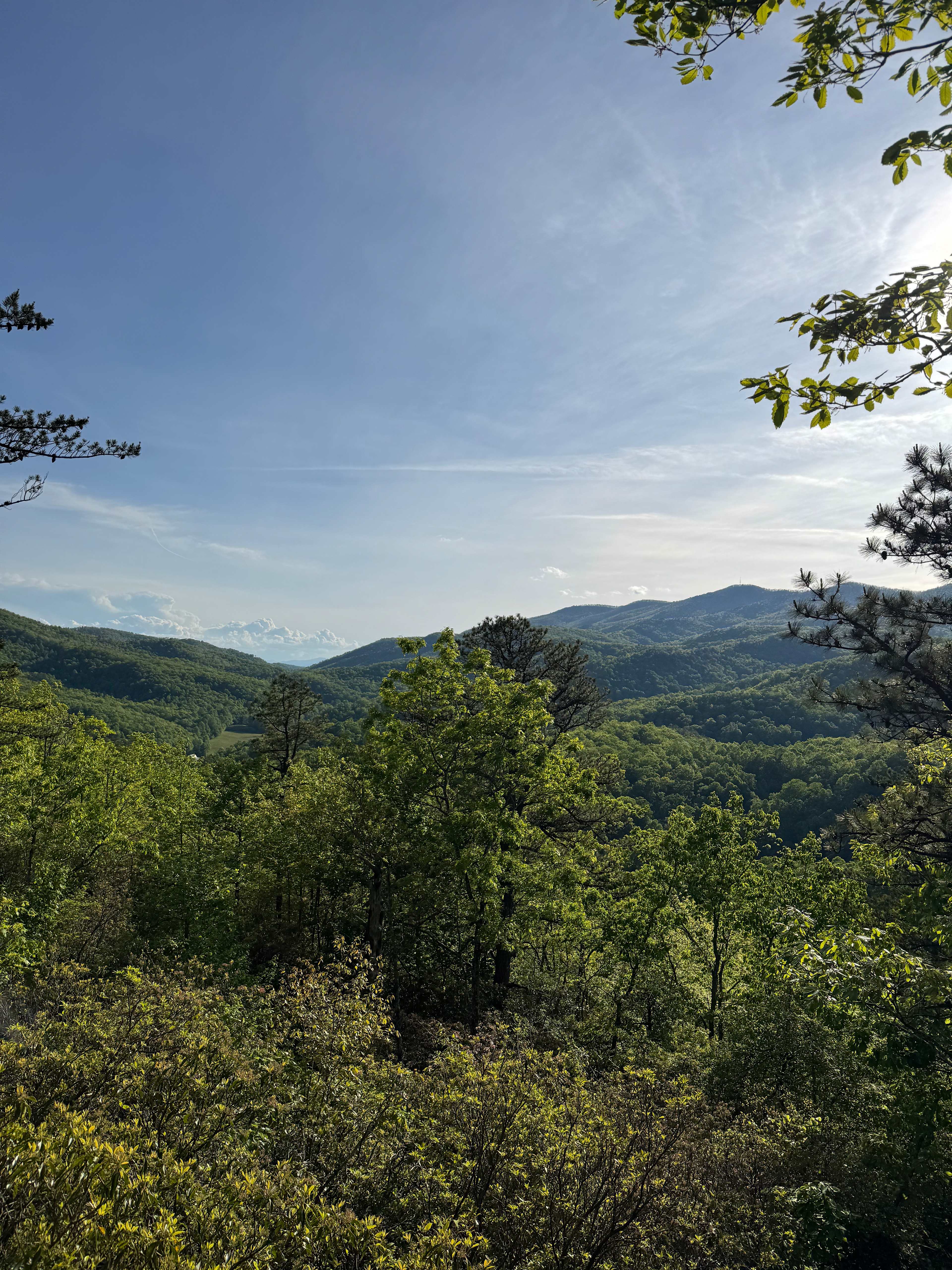 Above the Fray Glamping, Black Mtn.