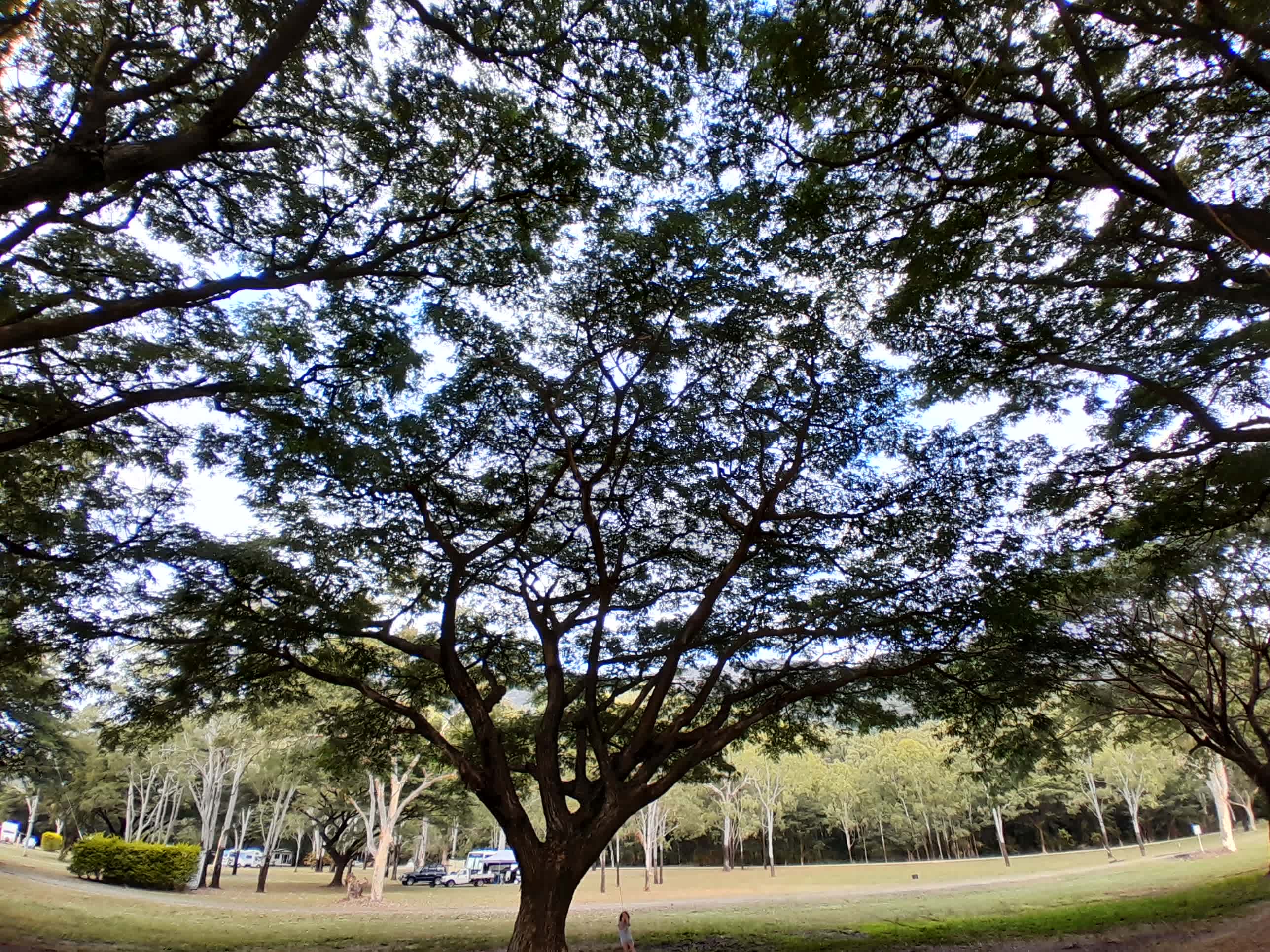 Mount Surround Campground