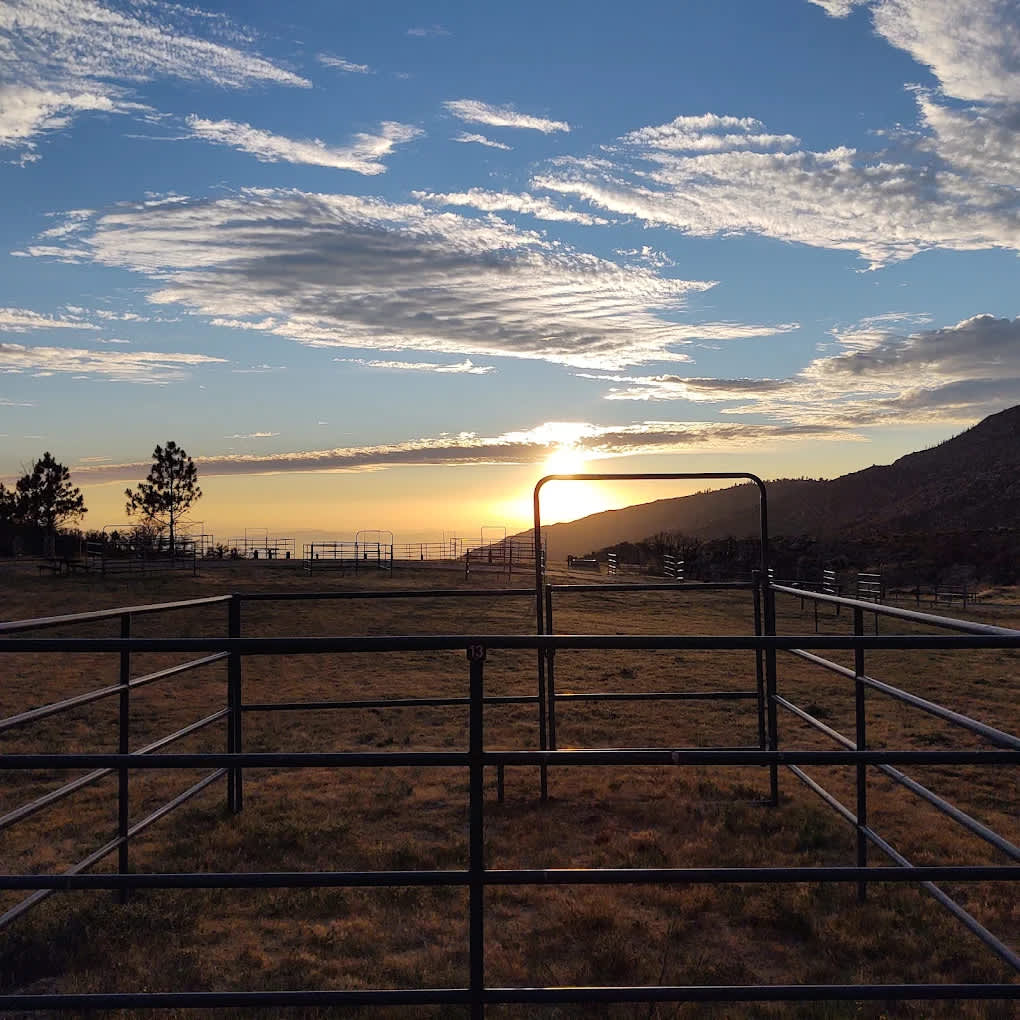 McCall Equestrian Park