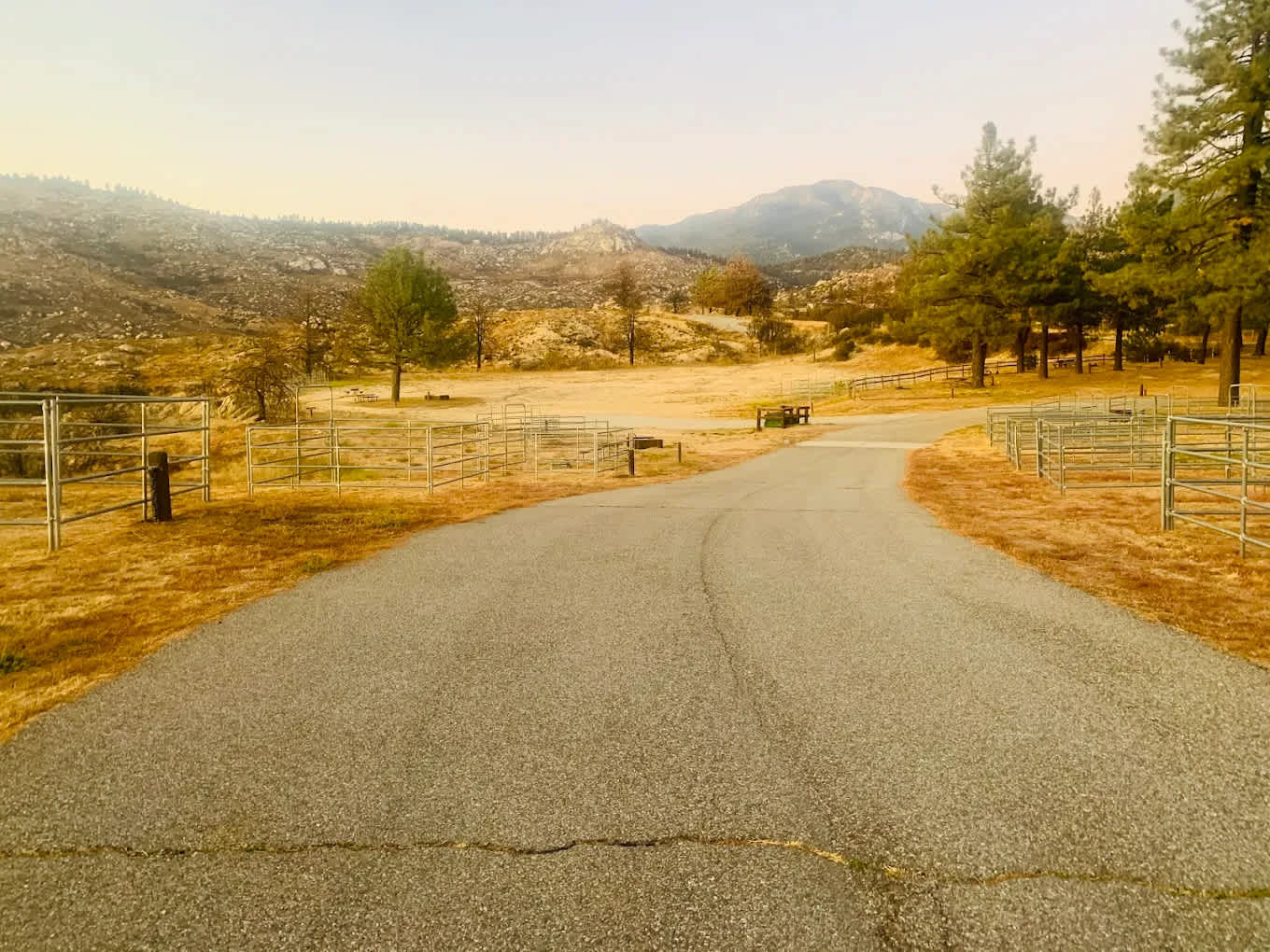 McCall Equestrian Park