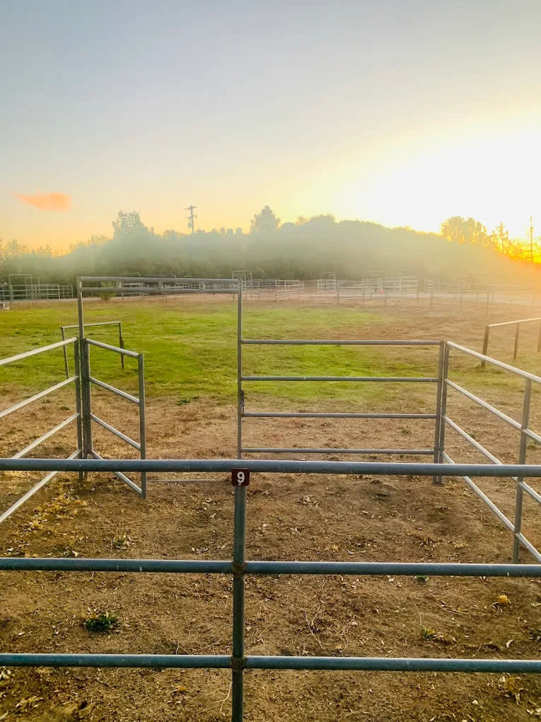 McCall Equestrian Park