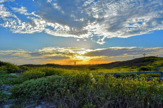 Padre Balli Park - Nueces County Coastal Parks