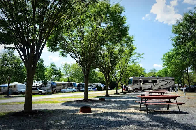 Mountain Springs Camping Resort