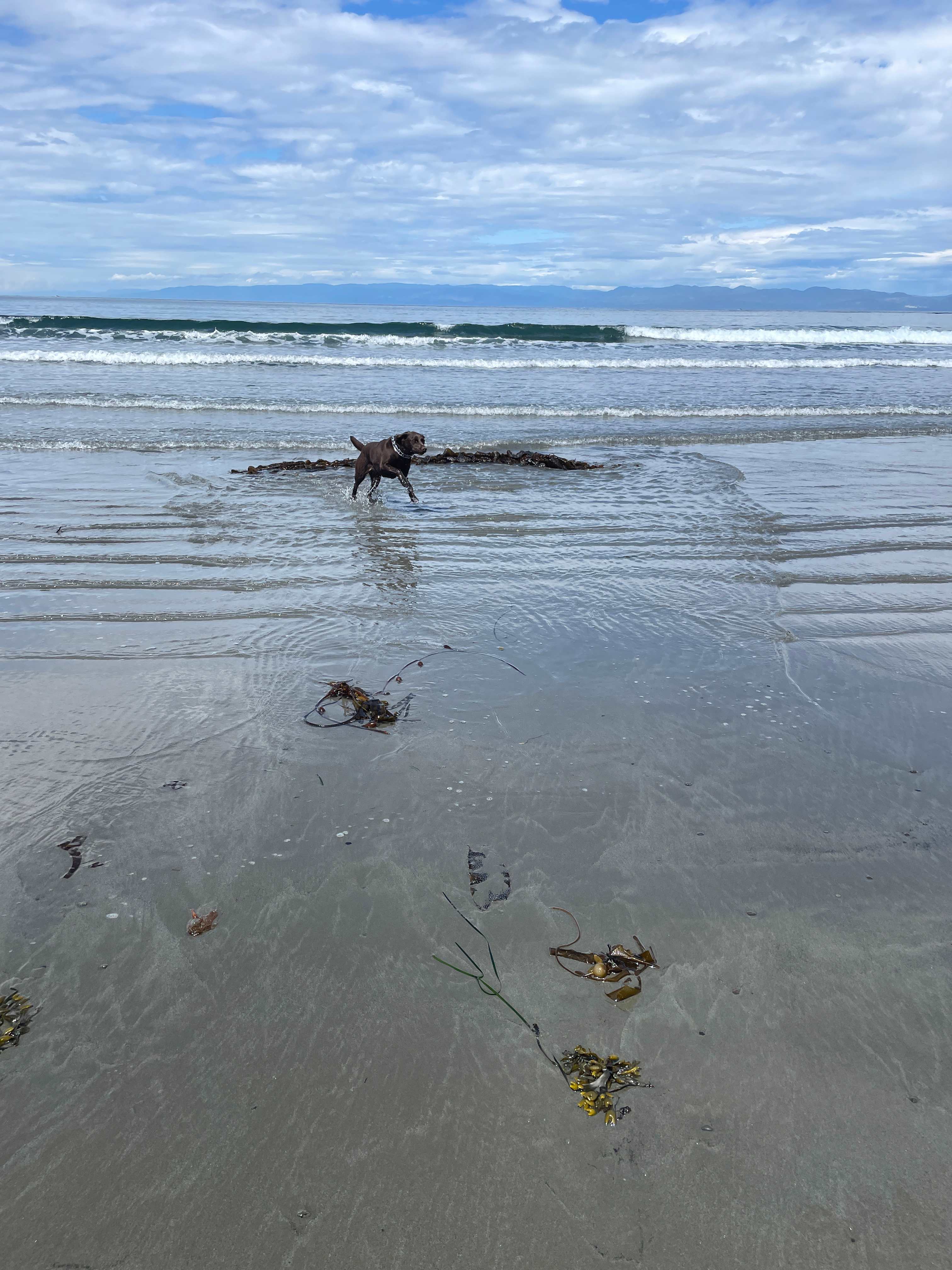 Crescent Beach & RV