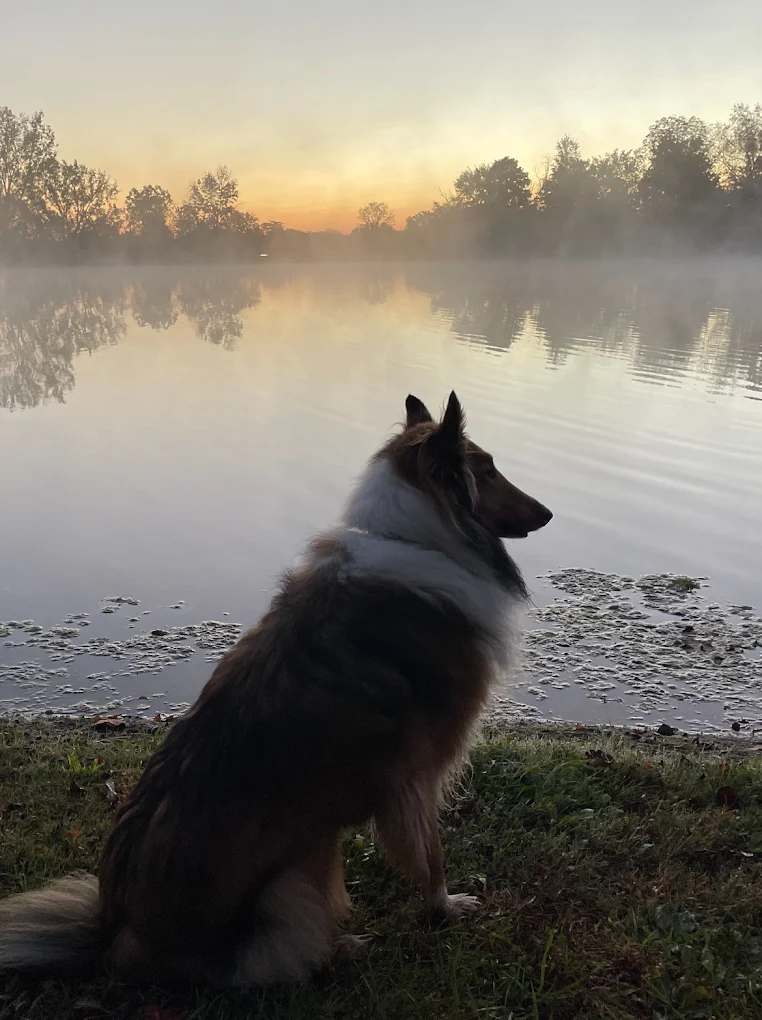 Berkshire Lake Campground