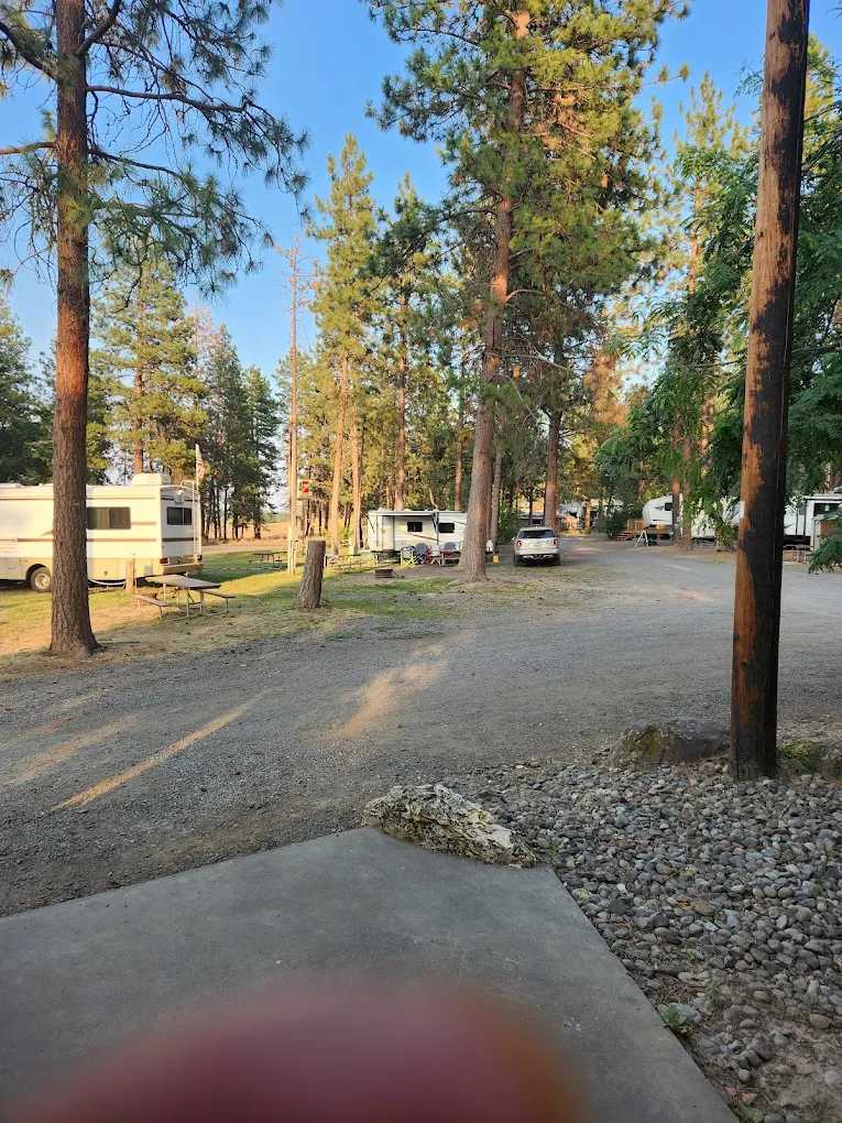 Pine Hollow Lakeside Resort