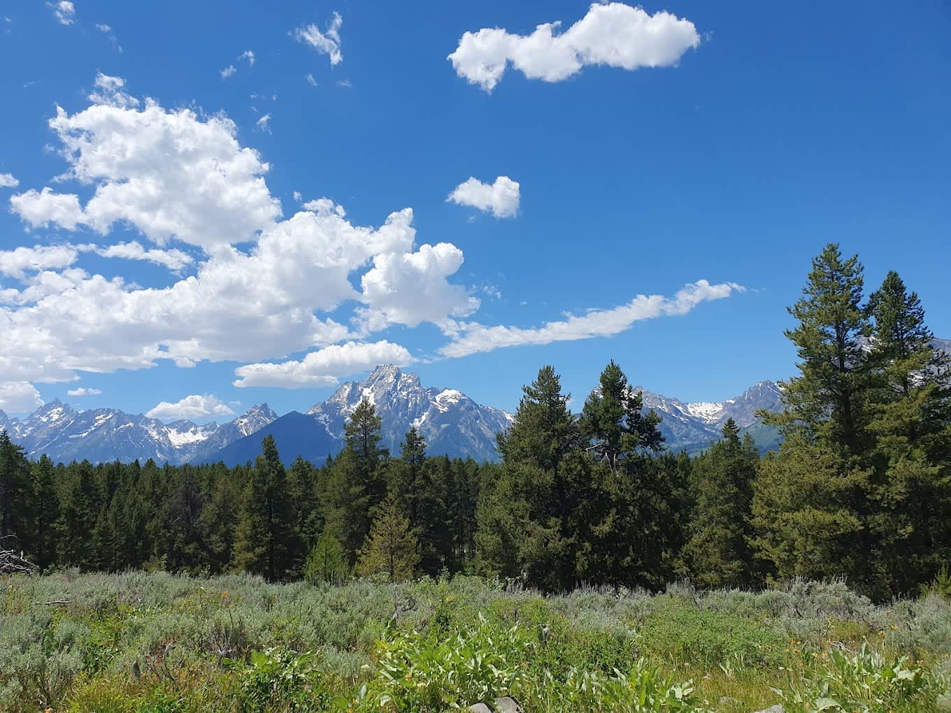 Colter Bay Village RV Park