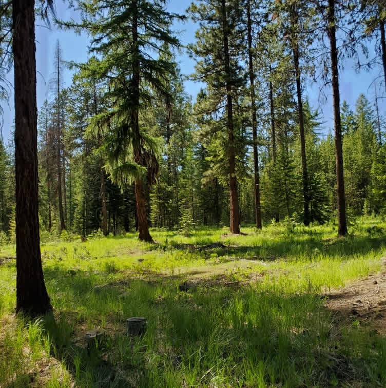 Sumpter RV Park