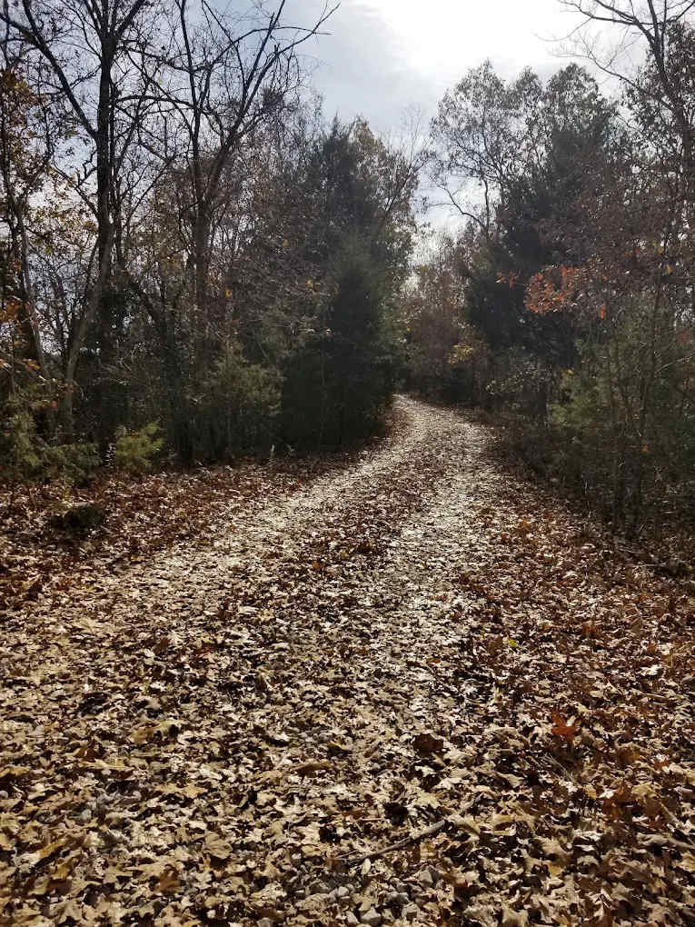 Robinson Bluff Climbing Area