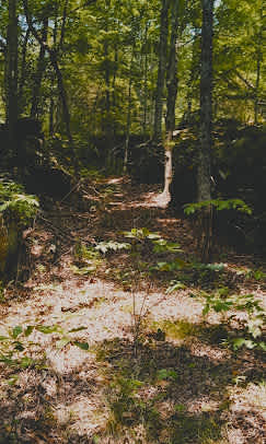 LITTLE LUSK TRAIL LODGE CAMPGROUND