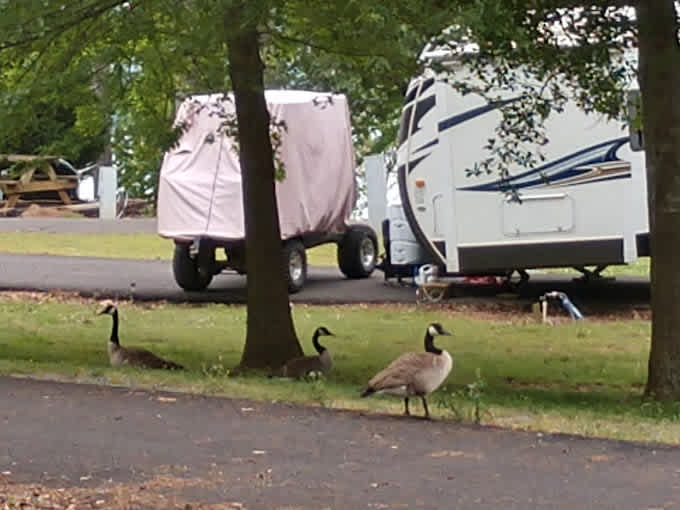 Seibold Camp Ground