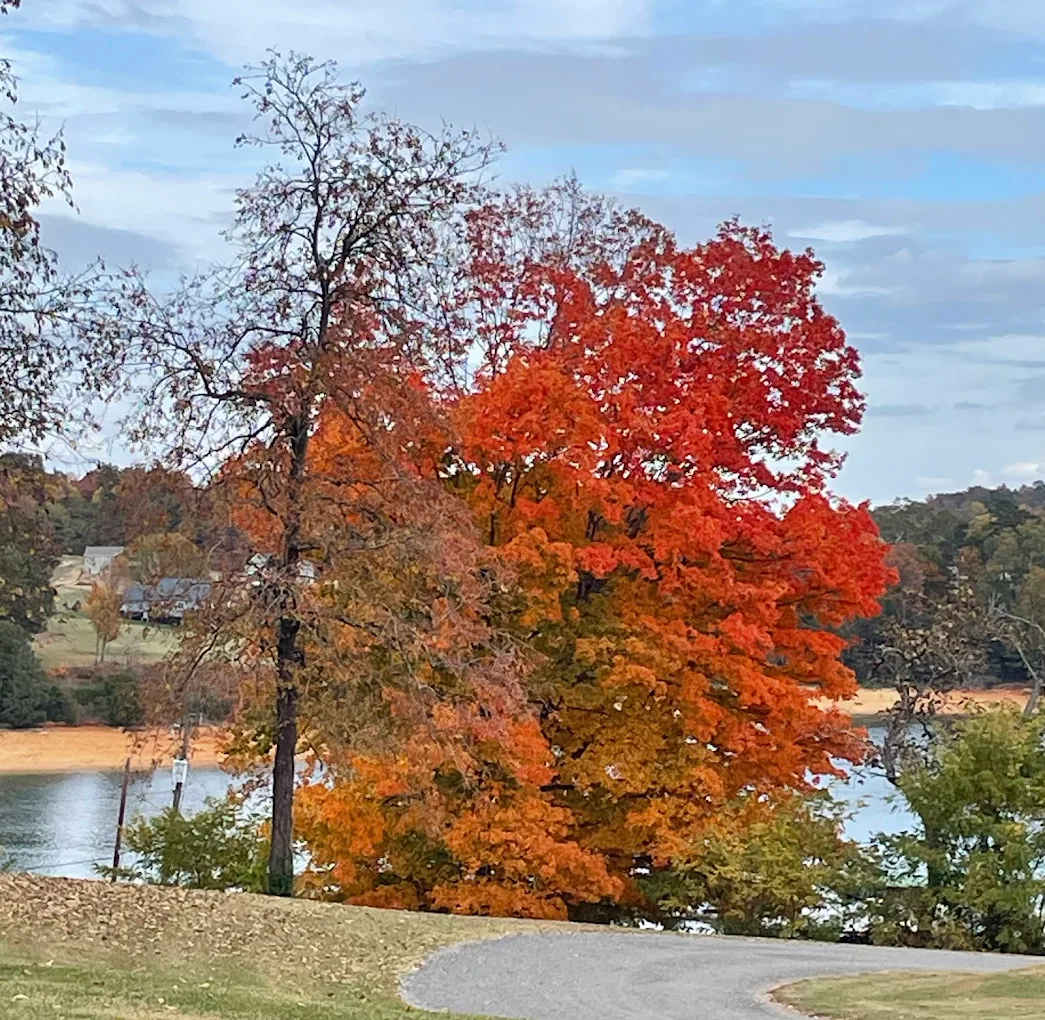 Cherokee Lake County Park