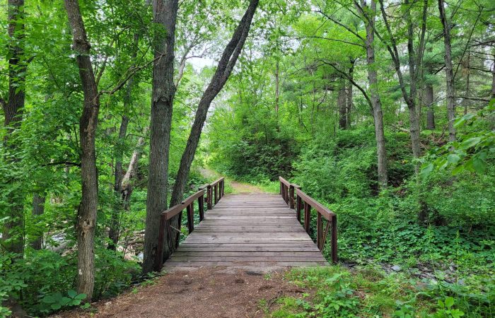 Knife Island Campground