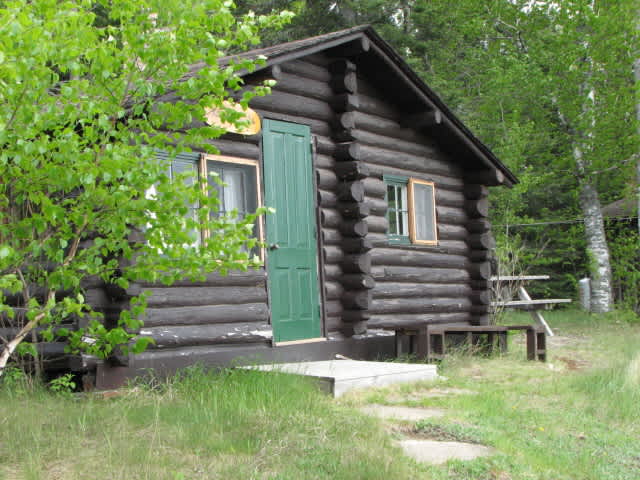 Wilderness Wind