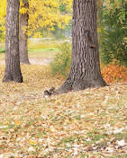 Sherin Memorial City Campground