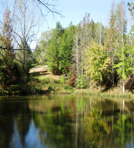 Camp MACOBA