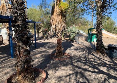 Desert Trails RV Park
