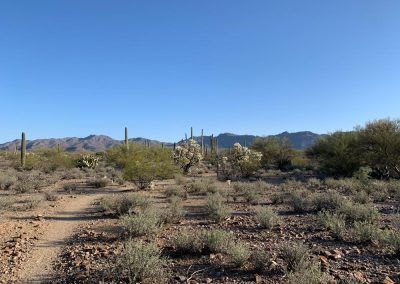 Desert Trails RV Park