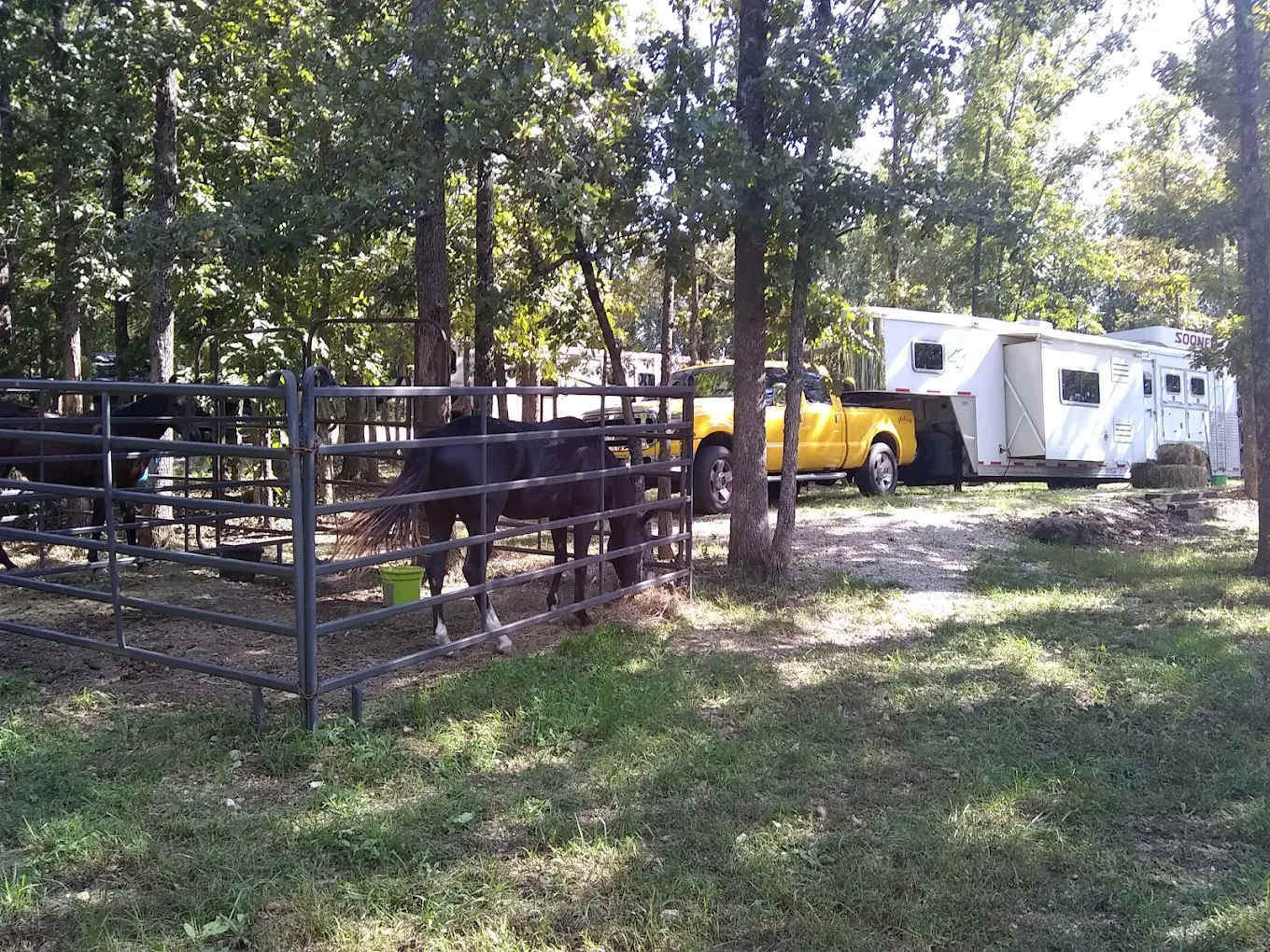 Cedar Ridge Trails