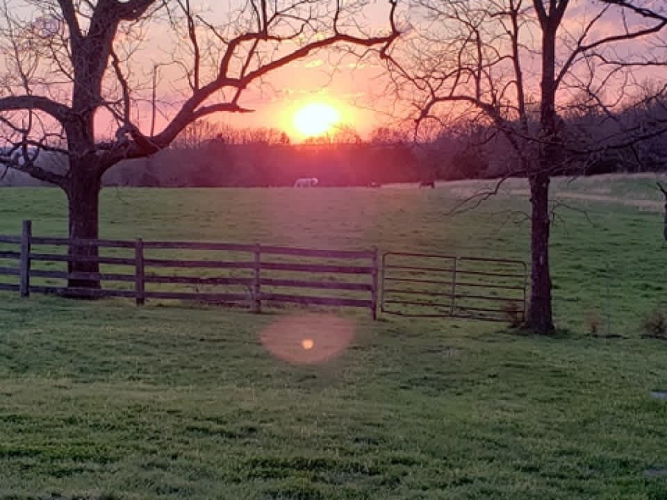 Cedar Ridge Trails