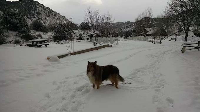 Four Seasons RV Park