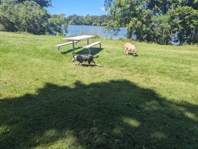 Pihls Park