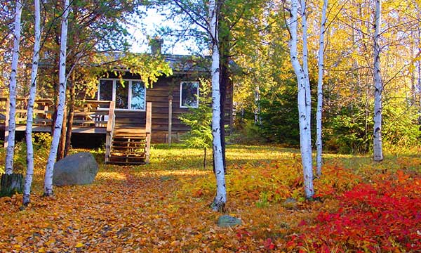 Golden Eagle Lodge And Campground